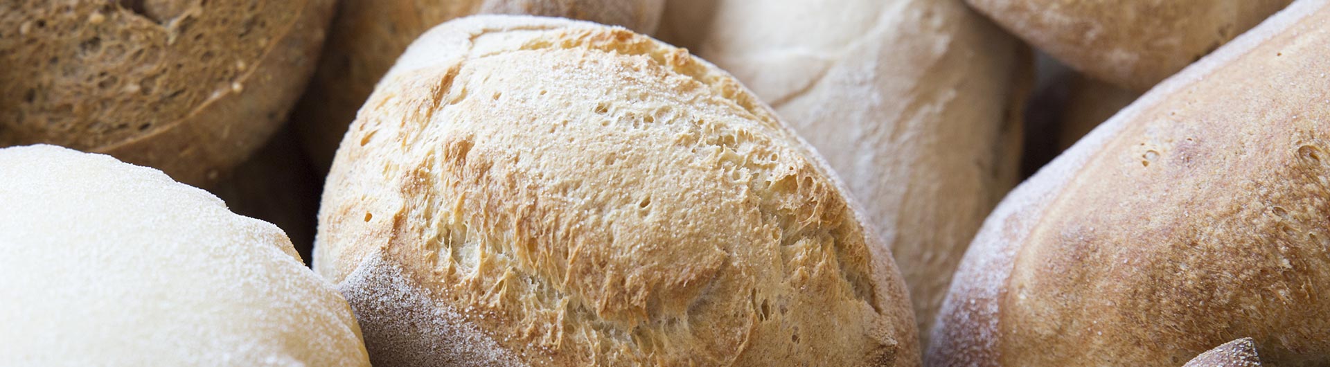 Panetteria Pane & Company